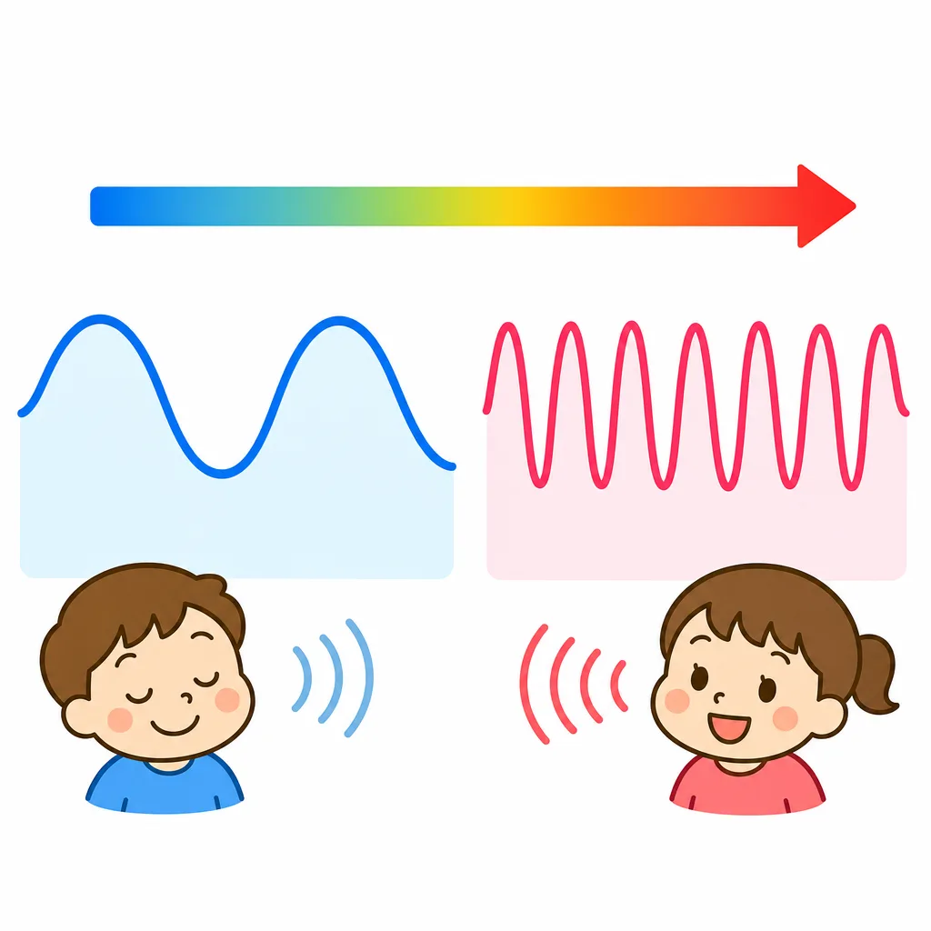 ふるえる回数が多いほど音は高くなります。
